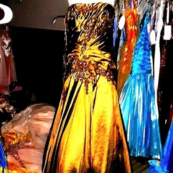 Rina DiMontella Silk Gown - Picture 3 of 10